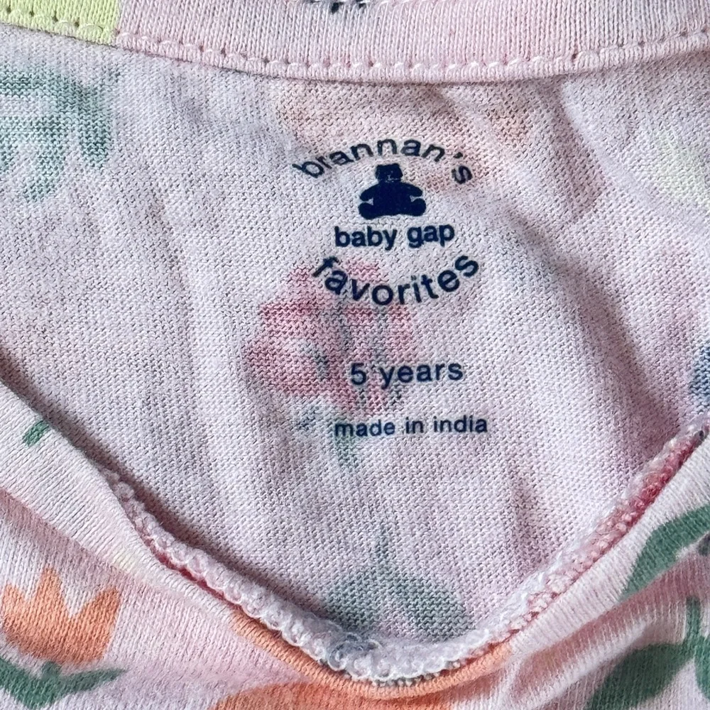Baby Gap 5T Pineapple Dress and Fruity Shirt